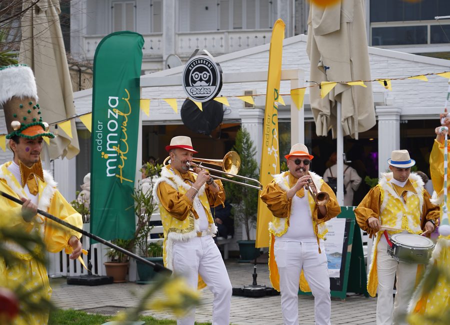 Mimoza Festivali